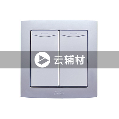 AS132二位单控带装饰线开关 10AX