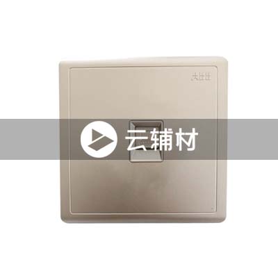 AQ331-CG一位八芯电脑插座，金色