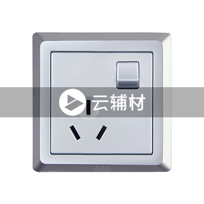 AE223-S 一位三极带开关插座（银色） 10A
