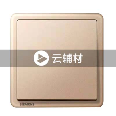 西门子致琦日耀金10AX 一位单控开关