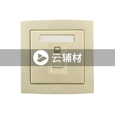 AL331-PG 一位八芯电脑插座（珍珠金）